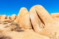Vagina shaped Rock in Joshua Tree National Park USA