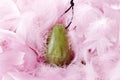 Vaginal jade egg on pink feathers Royalty Free Stock Photo