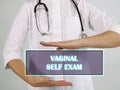 VAGINAL SELF EXAM text in futuristic screen Royalty Free Stock Photo