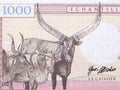 Vahum cattle from Congolese money