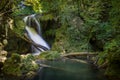 Vaioaga waterfall in the Nera National Park, Romania Royalty Free Stock Photo