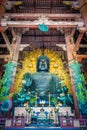 Vairocana buddha in Daibutsu-den Todai-ji temple, Nara, Japan Royalty Free Stock Photo