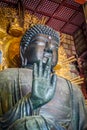 Vairocana buddha in Daibutsu-den Todai-ji temple, Nara, Japan Royalty Free Stock Photo