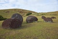 Vaka Kipo, Easter Island, Chile