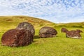 Vaka Kipo Volcano site in Easter Island, Chile