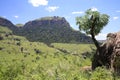 Royal Natal National Park, South Africa Royalty Free Stock Photo