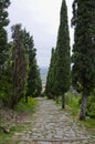 The Val d`Chiana from Via Santa Margherita Royalty Free Stock Photo