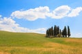 Val d'Orcia cypresses view Royalty Free Stock Photo