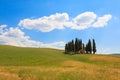 Val d'Orcia cypresses view Royalty Free Stock Photo