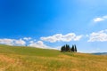 Val d'Orcia cypresses view Royalty Free Stock Photo