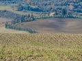 Val d'Orcia, Tuscany Royalty Free Stock Photo