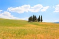 Val d& x27;Orcia cypresses view Royalty Free Stock Photo