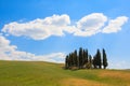 Val d& x27;Orcia cypresses view Royalty Free Stock Photo