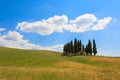 Val d'Orcia cypresses view Royalty Free Stock Photo