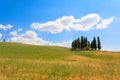 Val d& x27;Orcia cypresses view Royalty Free Stock Photo