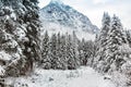 Val di Mello - Valtellina IT - Winter Royalty Free Stock Photo