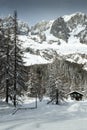 Val Ferret, mountain chalet in the snow among the trees Royalty Free Stock Photo