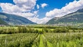 Val Venosta, Vinschgau, Alto Adige, Italy. View over Mals in South Tyrol