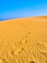 Valdevaqueros Dune. El Estrecho Natural Park. Tarifa, Cadiz, Spain