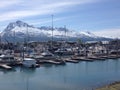 Valdez Alaska harbor Royalty Free Stock Photo