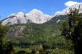 Ecoregion of the Valdivian temperate rainforests in southern Chile Chilean Patagonia