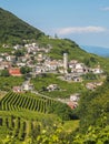 Valdobbiadene town and Prosecco vineyards in Veneto Royalty Free Stock Photo