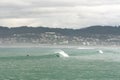 Surfing at A Frouxeira beach in Galicia in northern Spain Royalty Free Stock Photo