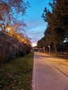 Valencia at evening