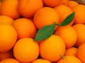 Valencia oranges with one showing stem with leaves