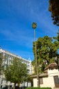 Valencia Parterre park high palm tree Spain