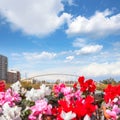 Valencia puente de Exposicion from city flowers bridge