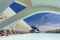 Museum of Sciences in the City of Arts and Sciences. Calatrava\'s modern architecture