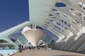 Museum of Sciences in the City of Arts and Sciences. Calatrava\'s modern architecture