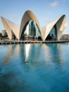 Valencia, Spain - August 2009: Arts and Science Museum by Calatrava