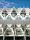 Valencia, Spain - August 2009: Arts and Science Museum by Calatrava