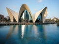 Valencia, Spain - August 2009: Arts and Science Museum by Calatrava