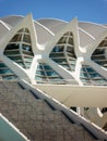 Valencia, Spain - August 2009: Arts and Science Museum by Calatrava