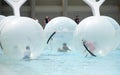 Valencia, Spain, August 26, 2019: Children inside inflatable ball of plastic at swimming pool trying to keep balance. Child or kid