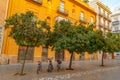 Oranges everywhere Royalty Free Stock Photo