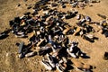 Valencia, Spain - December 25, 2008: Pile of old discarded shoes, on the ground, abandoned in a landfill. Waste concept of the