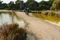 Valencia, Spain - December 8, 2018: Visitors to the natural park of Albufera de Valencia, strolling along the paths that have been