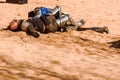 Valencia, Spain - January 27, 2019: Two actors disguised as medieval knights lying on the ground defeated after a sword battle in Royalty Free Stock Photo