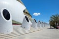 El Palau de les Arts Reina Sofia in the City of Arts and Science in Valencia Royalty Free Stock Photo