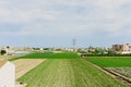 Valencia, Spain - June 9, 2018: Plantation of tigernuts in the Valencian orchard, near the houses of the city