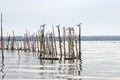 Valencia, Spain. Lake and Albufera Natural Park El Parque Natural de la Albufera de Valencia on a cloudy day. Royalty Free Stock Photo