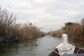 Valencia, Spain. Lake and Albufera Natural Park El Parque Natural de la Albufera de Valencia on a cloudy day. Royalty Free Stock Photo