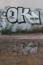 Valencia, Spain; May 20 2020: Beautiful street art graffiti and its refletion on a puddle in the middle of the street. Abstract Royalty Free Stock Photo