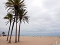 Valencia, Spain May 23 2021: View of a beach with palms Royalty Free Stock Photo