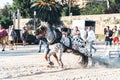 Horse pulling is a draft horse competition where horses in harness,pull a weighted sled Royalty Free Stock Photo