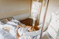 Valencia, Spain - September 10, 2019: Saline solution drip bag hanging on the bed of a sick woman